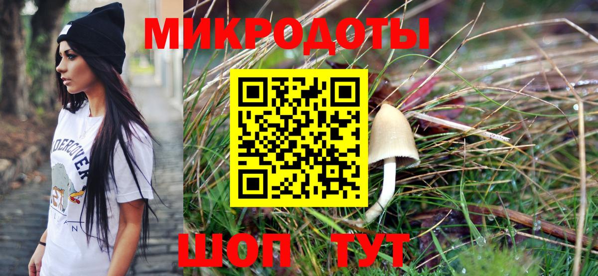 Заволжье  Псилоцибиновые грибы прущие грибы  Вход с VPN 