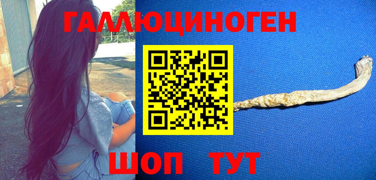 Псилоцибиновые грибы мицелий Заволжье